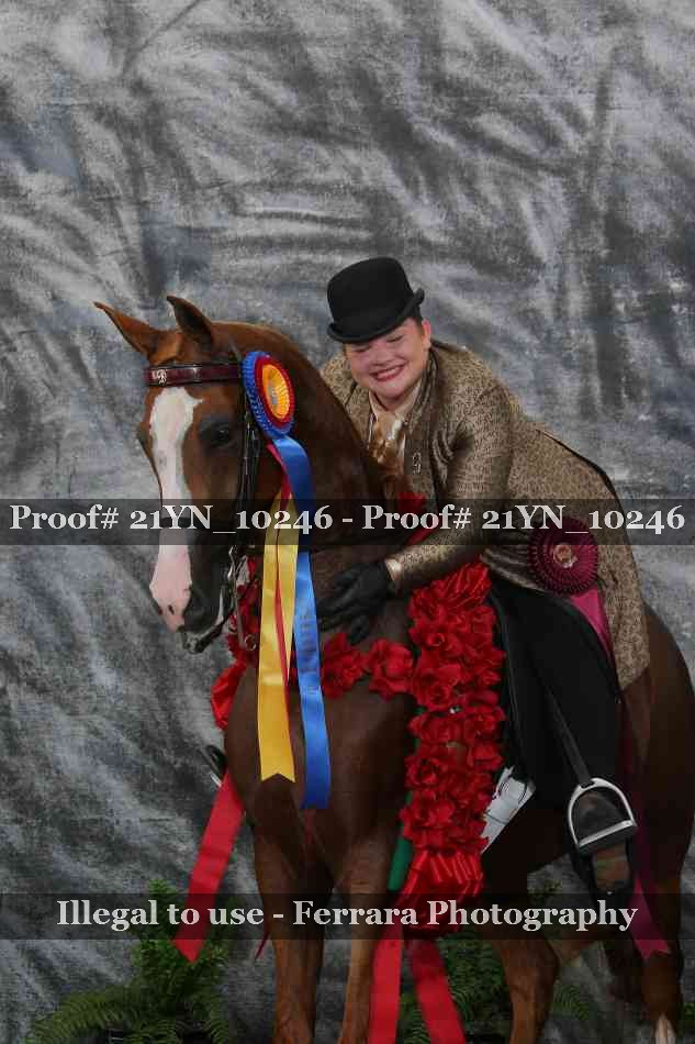 Proof 21YN_10246