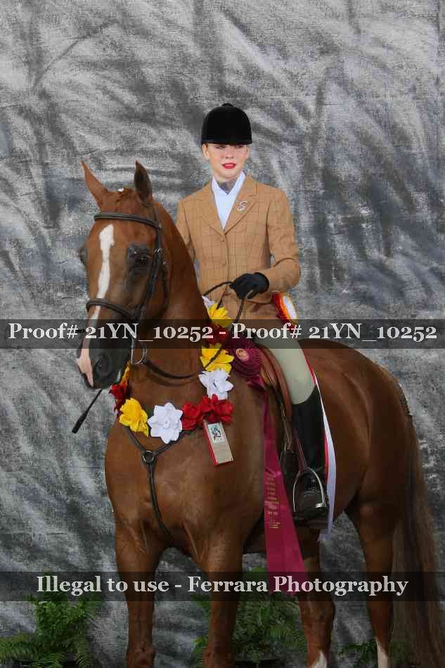 Proof 21YN_10252