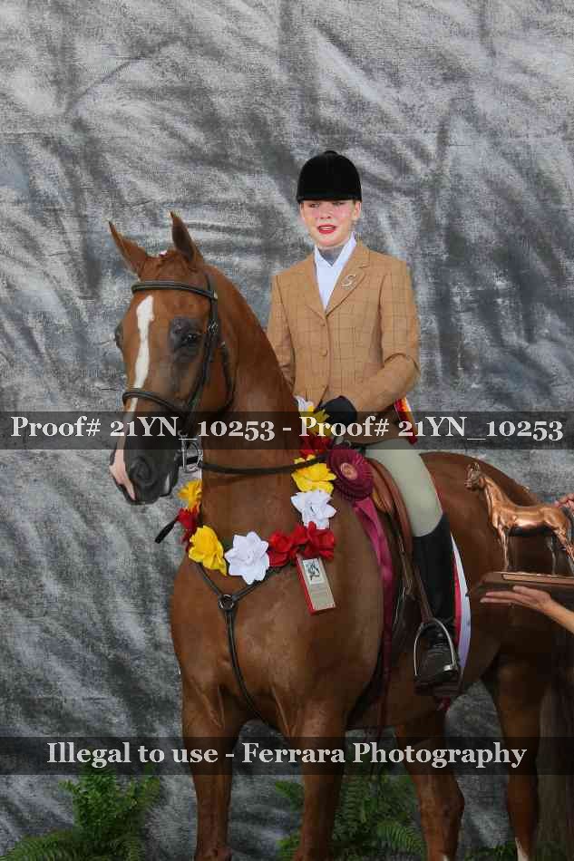 Proof 21YN_10253