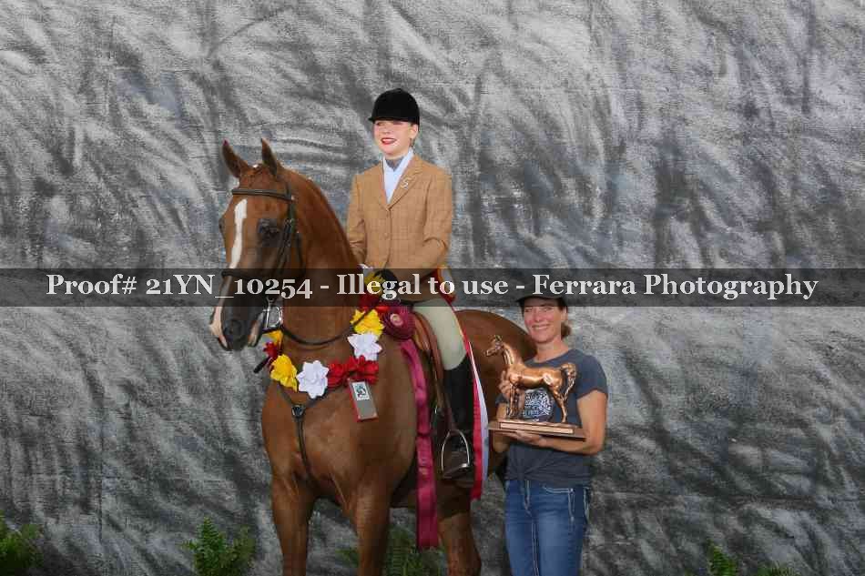Proof 21YN_10254