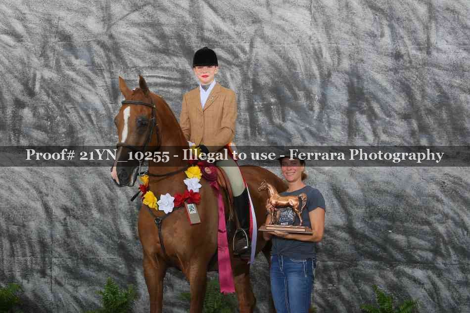 Proof 21YN_10255