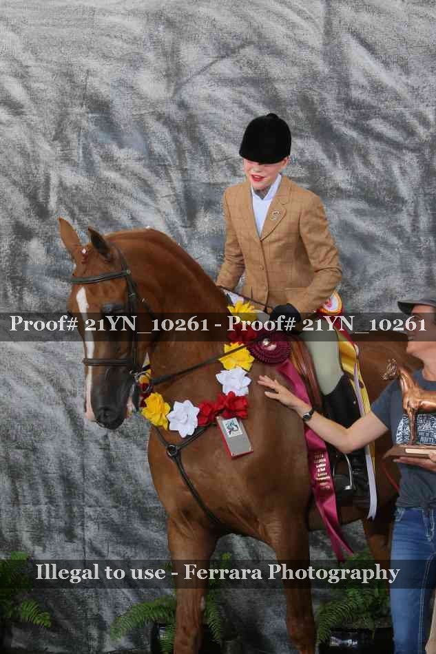 Proof 21YN_10261