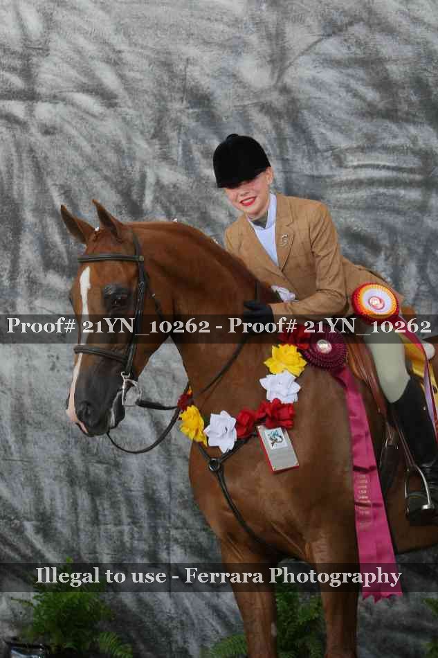Proof 21YN_10262