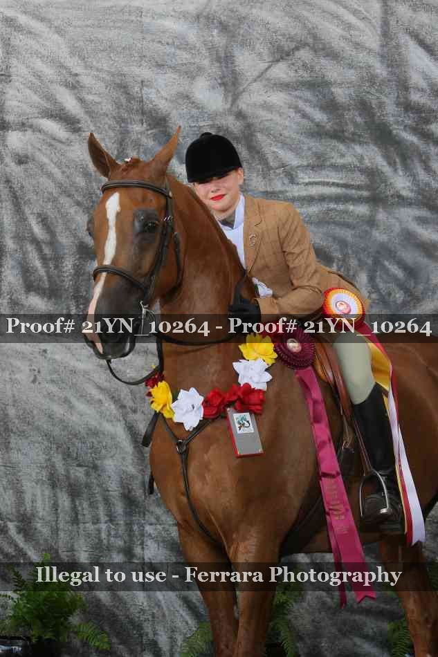 Proof 21YN_10264