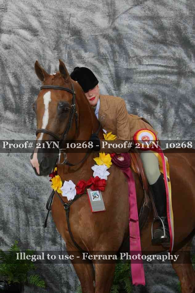 Proof 21YN_10268