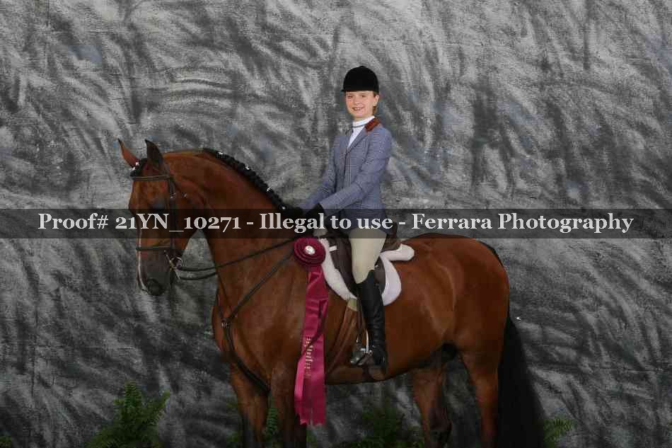 Proof 21YN_10271