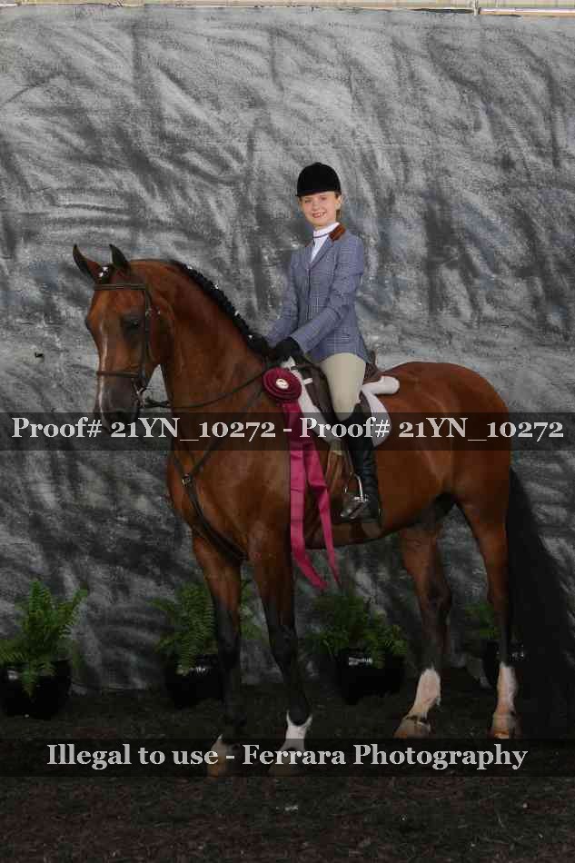 Proof 21YN_10272
