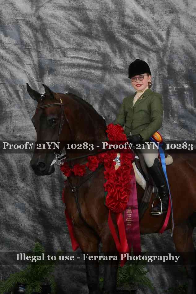 Proof 21YN_10283