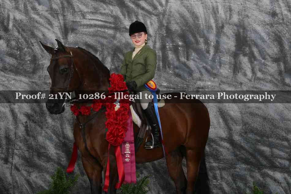 Proof 21YN_10286