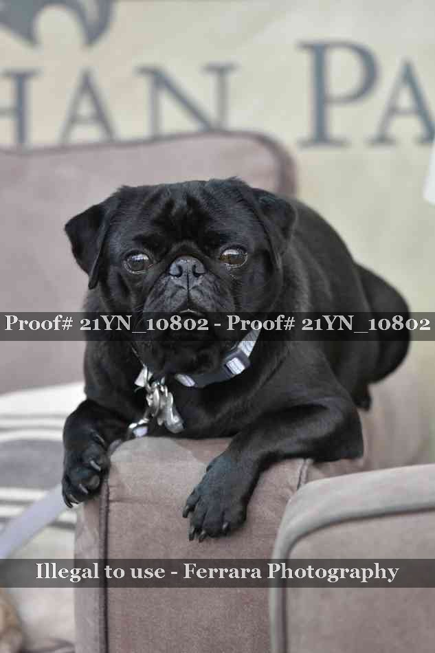 Proof 21YN_10802