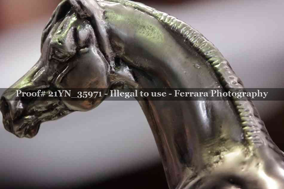Proof 21YN_35971
