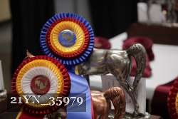 21YN_35979 proof