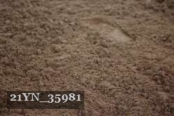 21YN_35981 proof