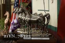 21YN_78325 proof