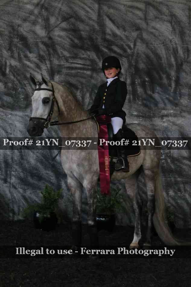 Proof 21YN_07337