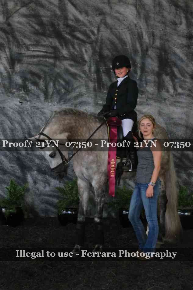 Proof 21YN_07350