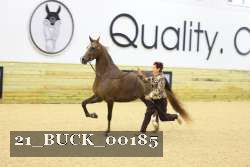 21_BUCK_00185 proof