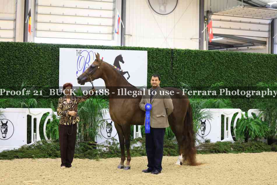 Proof 21_BUCK_00188