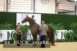 21_BUCK_00188 proof