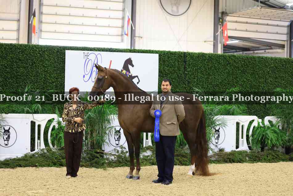 Proof 21_BUCK_00189