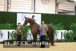 21_BUCK_00189 proof