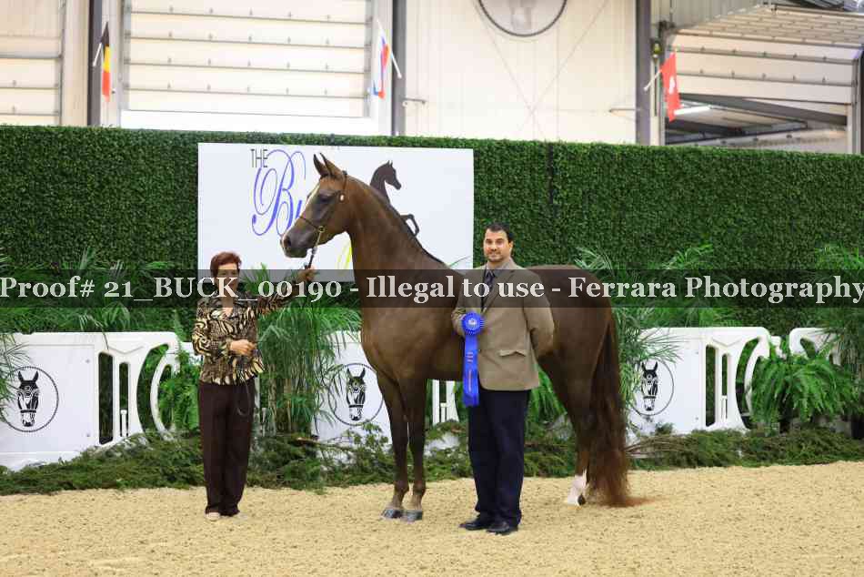 Proof 21_BUCK_00190