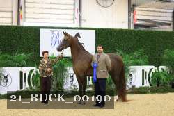 21_BUCK_00190 proof