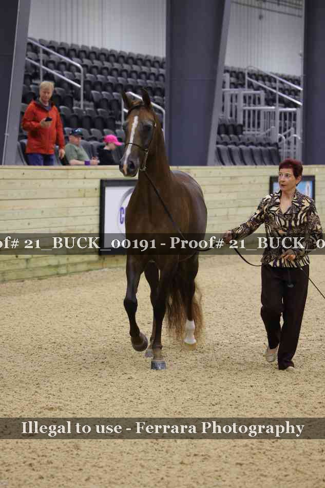 Proof 21_BUCK_00191
