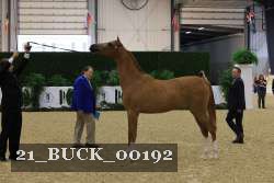 21_BUCK_00192 proof
