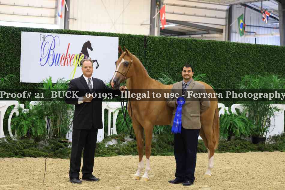 Proof 21_BUCK_00193