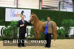 21_BUCK_00193 proof