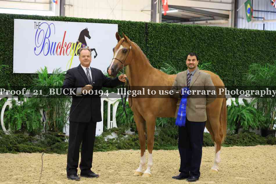 Proof 21_BUCK_00194