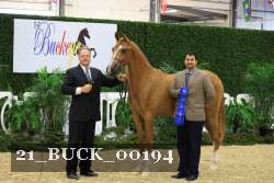21_BUCK_00194 proof