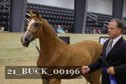 21_BUCK_00196 proof