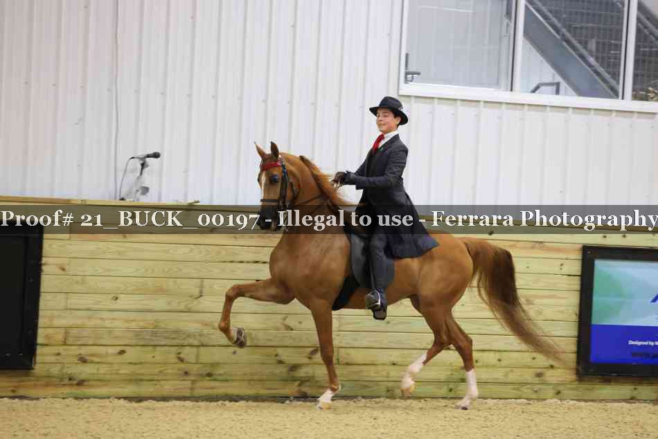 Proof 21_BUCK_00197
