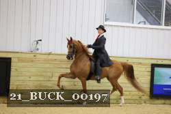 21_BUCK_00197 proof