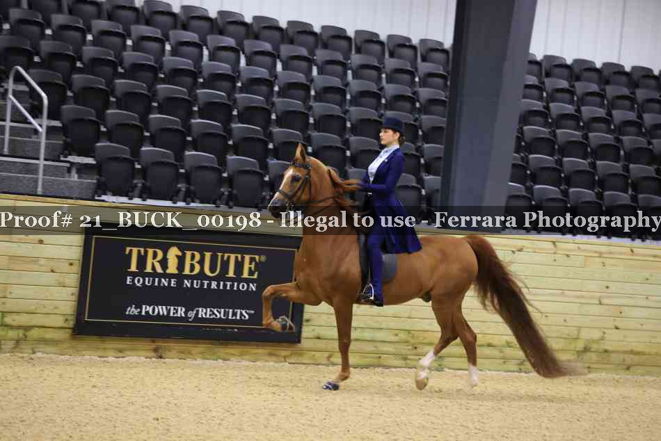 Proof 21_BUCK_00198
