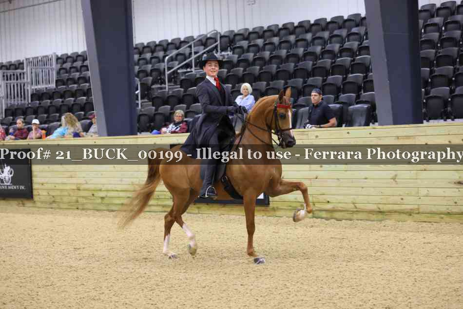 Proof 21_BUCK_00199