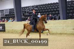 21_BUCK_00199 proof