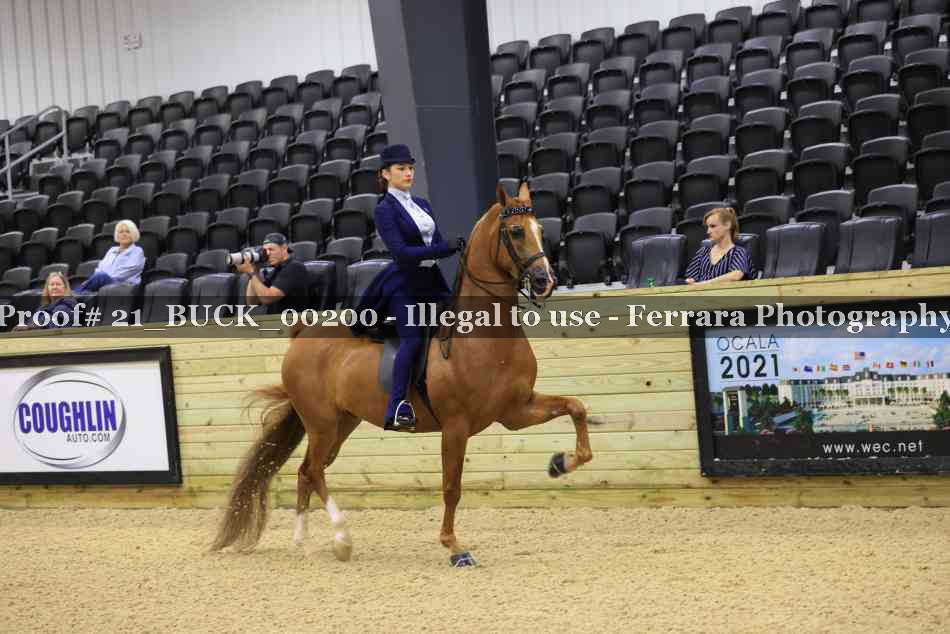 Proof 21_BUCK_00200