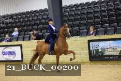 21_BUCK_00200 proof