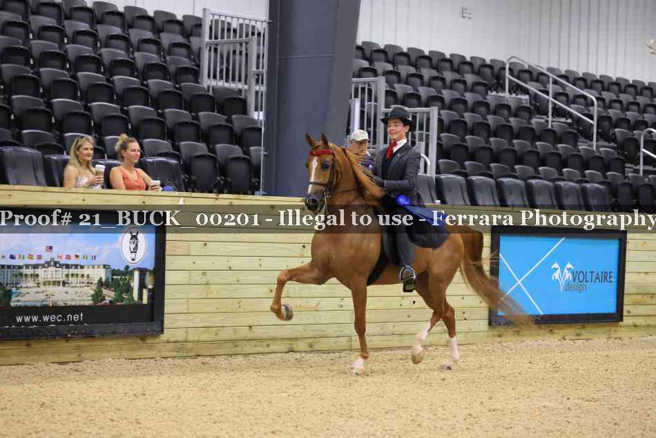 Proof 21_BUCK_00201