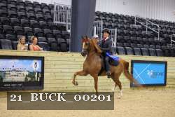 21_BUCK_00201 proof