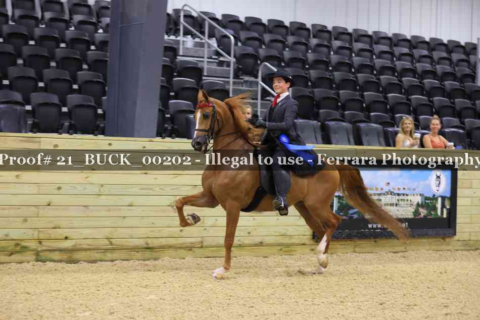 Proof 21_BUCK_00202
