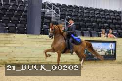 21_BUCK_00202 proof