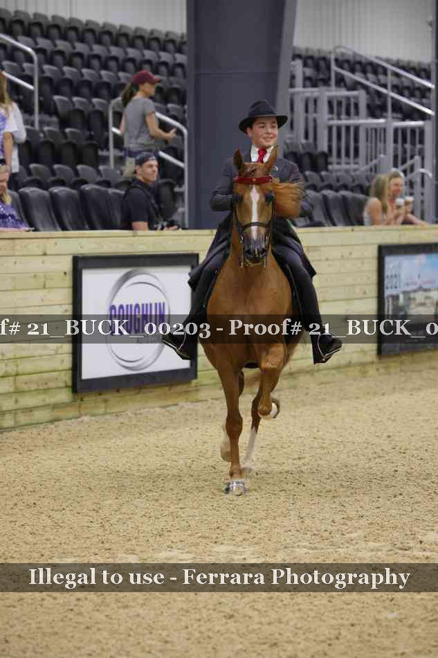 Proof 21_BUCK_00203