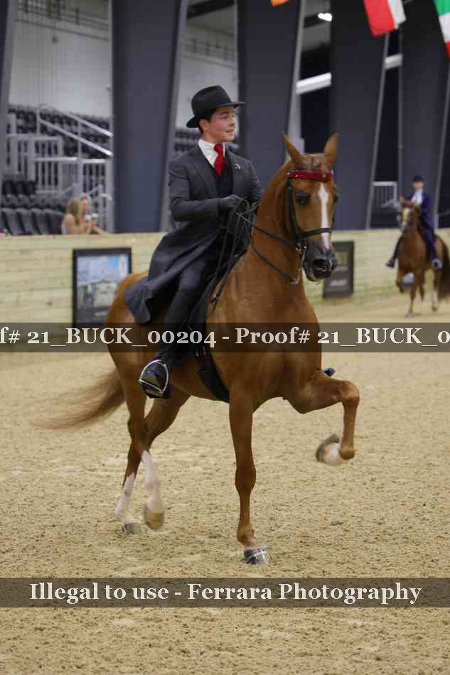 Proof 21_BUCK_00204