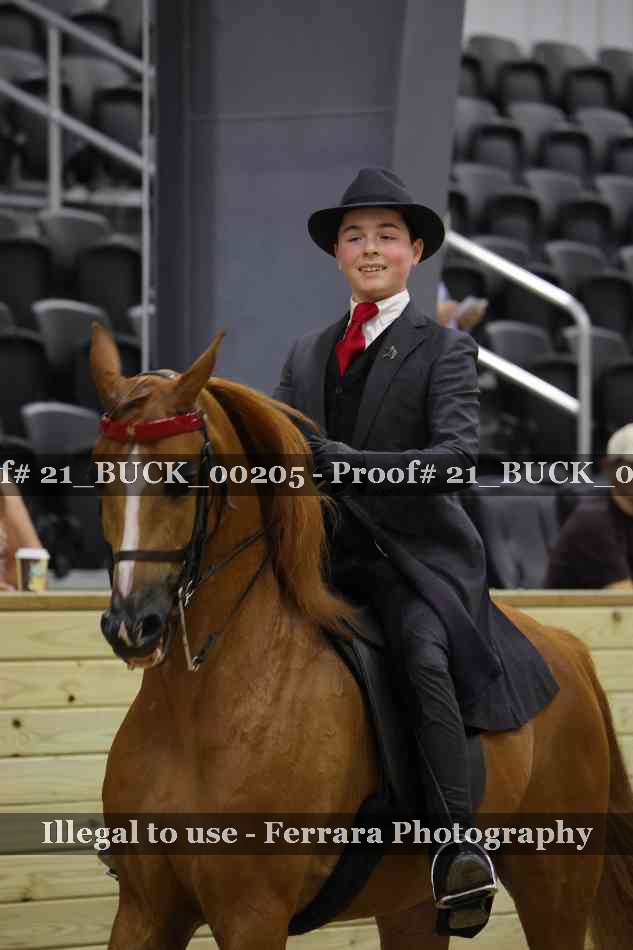 Proof 21_BUCK_00205