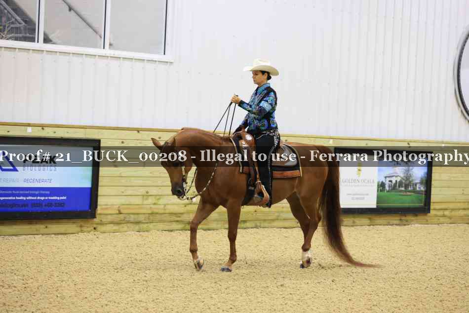 Proof 21_BUCK_00208