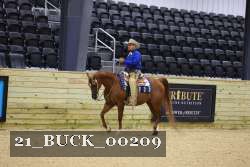 21_BUCK_00209 proof